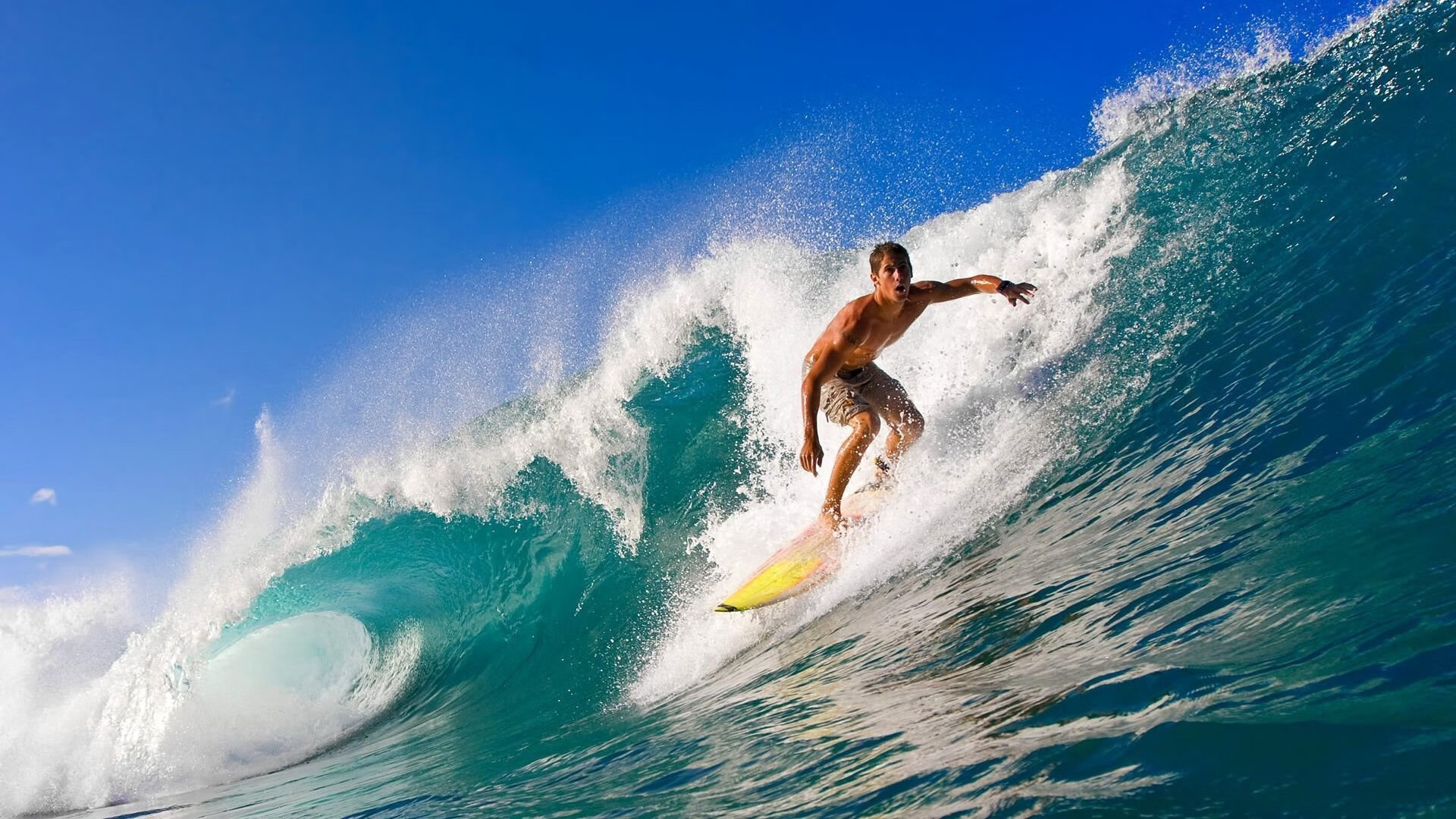 九游jiuyou-_传统武术表演结合现代比赛，展现文化魅力_，传统武术比武