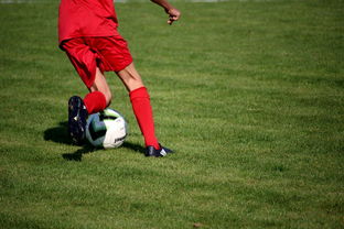 九游娱乐(jiuyou)官方网站-篮球俱乐部青训体系标准化建设推进中，青少年篮球俱乐部训练计划